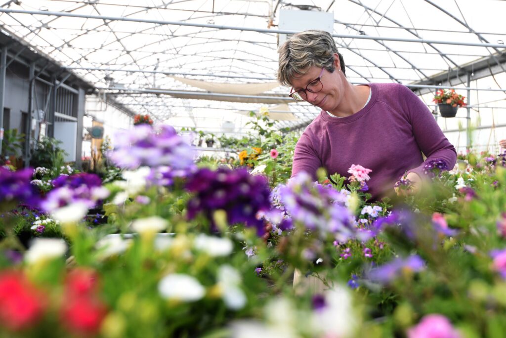 une femme travaille dans la serre horticole
