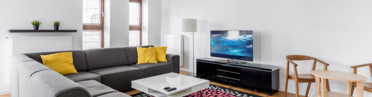 vue interieure d'un salon avec tele et canape