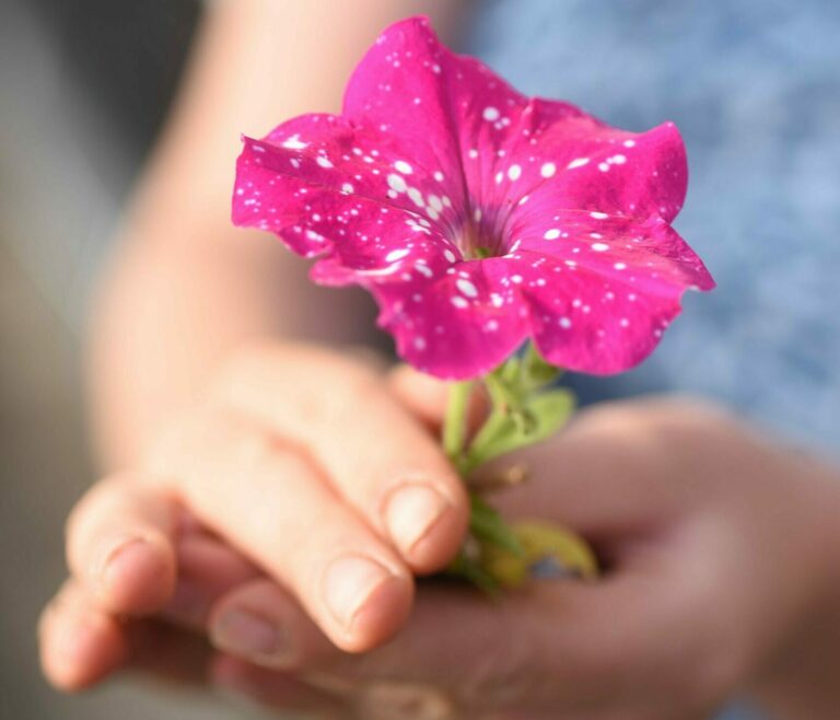 une femme tient une fleur rose