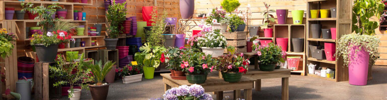 vue panoramique des productions horticoles