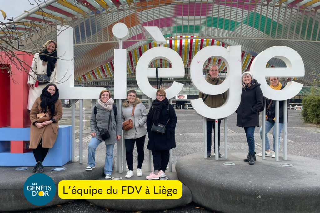 FDV liège